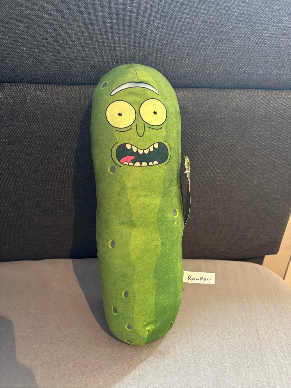 Pickle Rick Pillow Plush